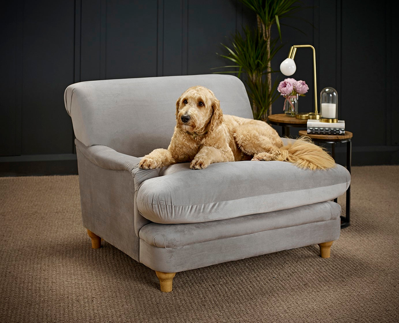 Grey Velvet Upholstered Wide Armchair with Oak Finish Legs