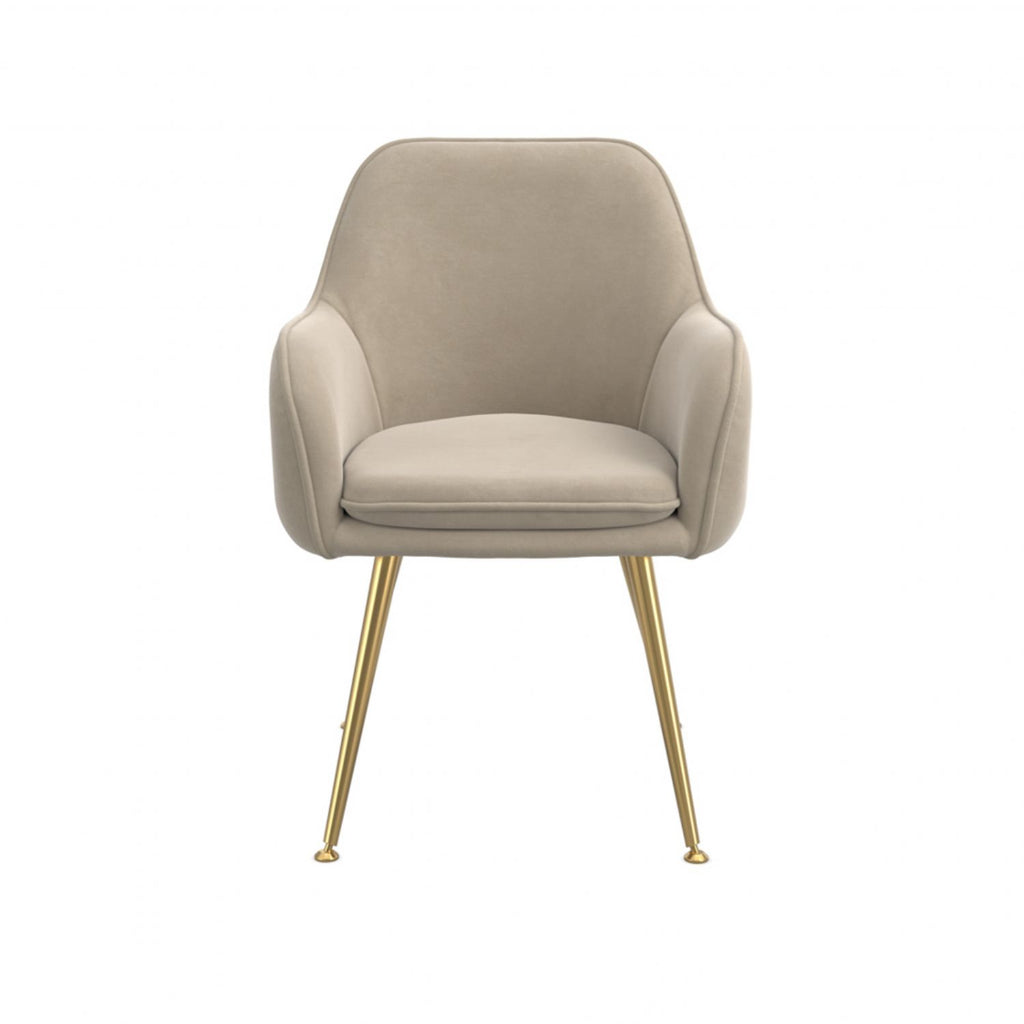 Pair of Light Fawn Velvet Fabric Dining Arm Chairs Gold Legs